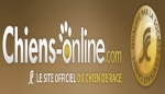 Chiens Online parle de dressemonchien.com pour les vidéo de dressage chien-chiot gratuit 
