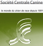 Société Centrale Canine S.C.C. parle de dressemonchien.com et des vidéo de dressage chiots