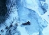 iditarod-course de musher-IDITAROD-La dernière course des Grands de la Terre-vidéo chien-