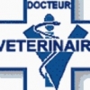 Evaluation comportementale du chien, chien dangereux,vétérinaire,euthanasie