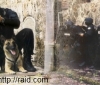 Les chiens Policier-Raid-vidéo-entrainement des chiens du RAID-chiens-dressage-video chien
